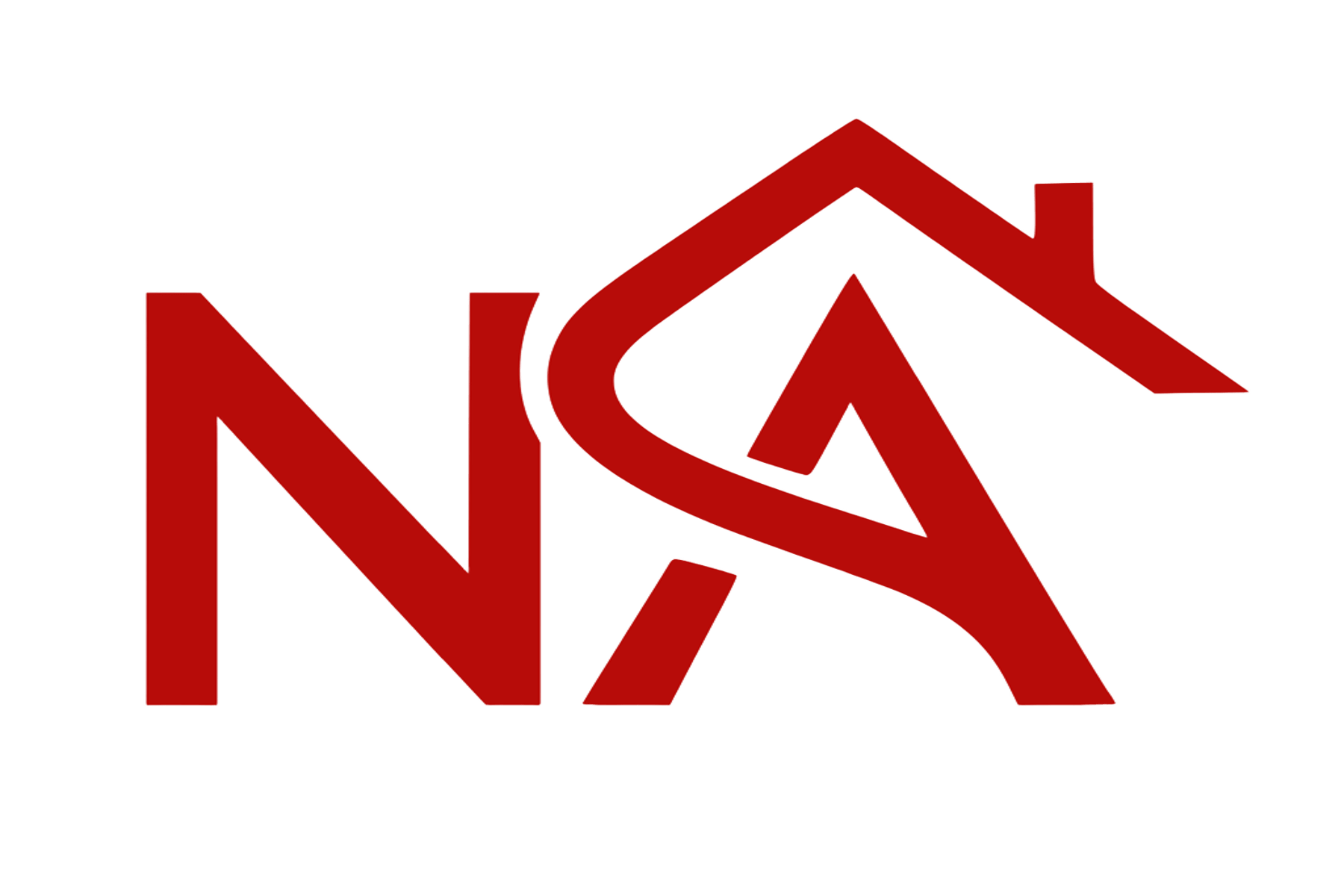 NSA Logo No BG